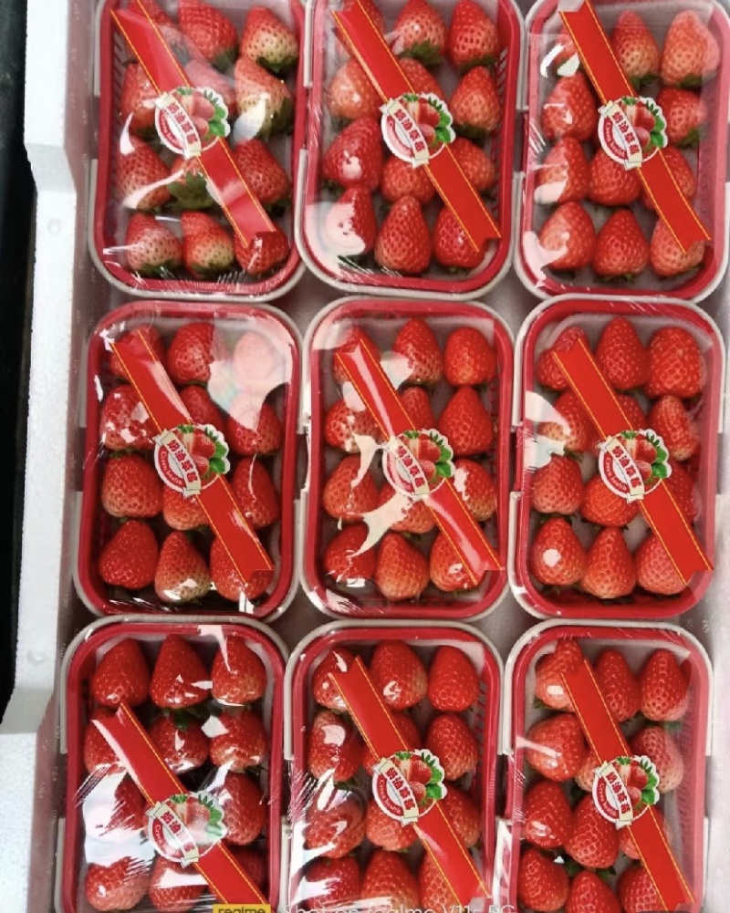 奶油草莓，产地直发，量大从优，对接市场电商平台
