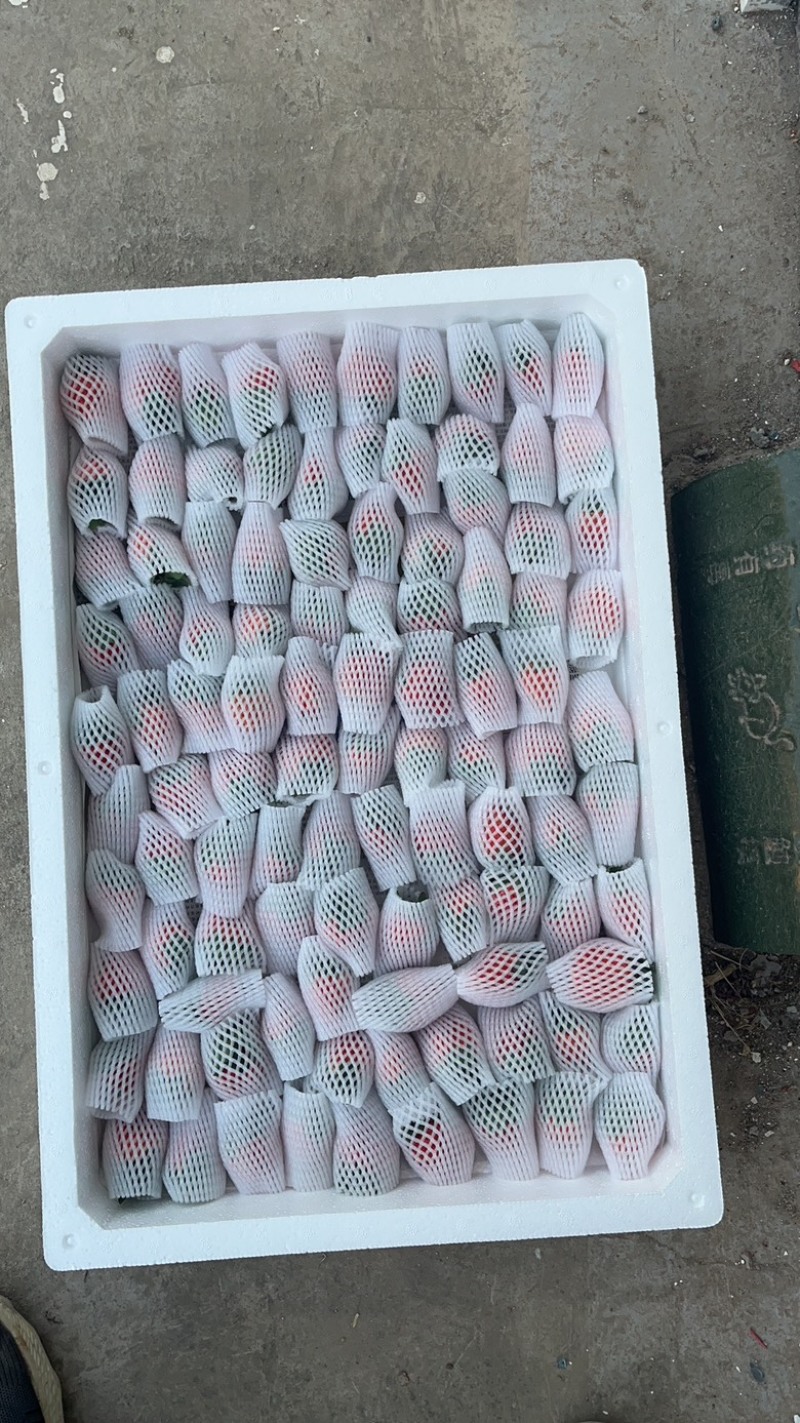 奶油草莓，产地直发，量大从优，对接市场电商平台