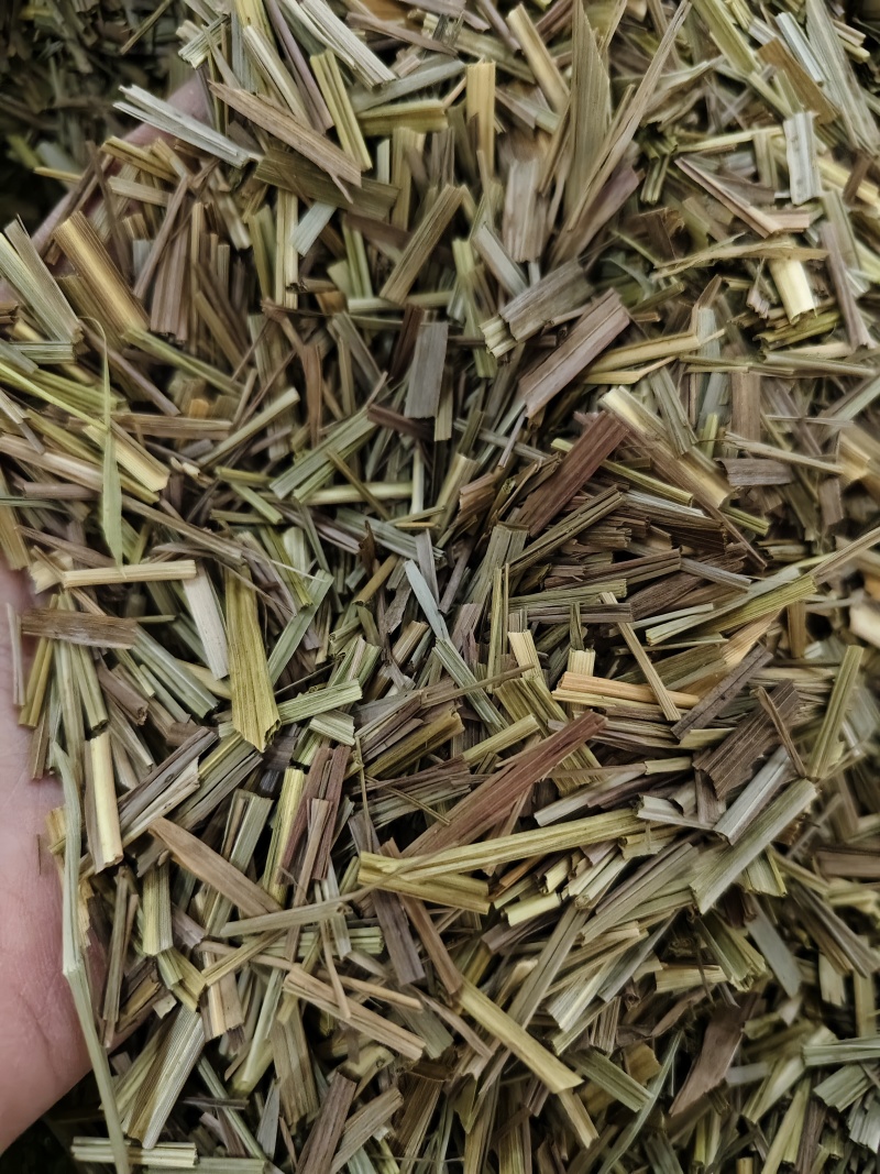 香茅草批发零售香茅草段量大优惠