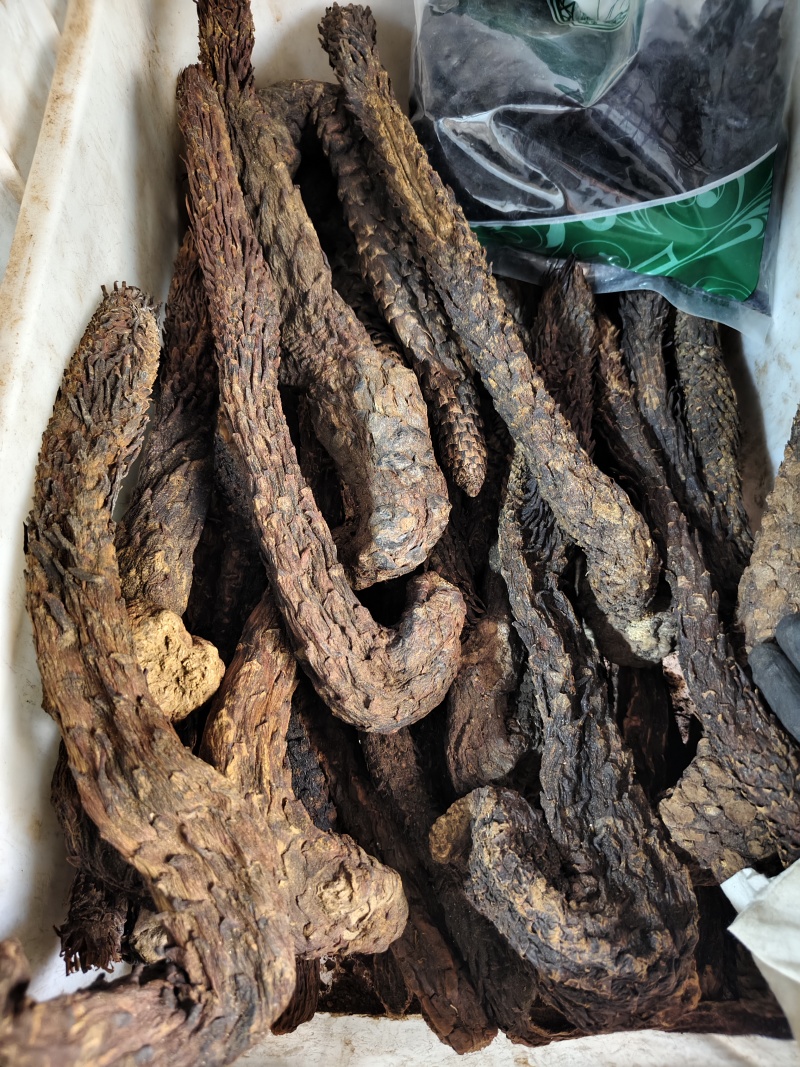 肉苁蓉软肉苁蓉整支批发零售规格齐全量大从优