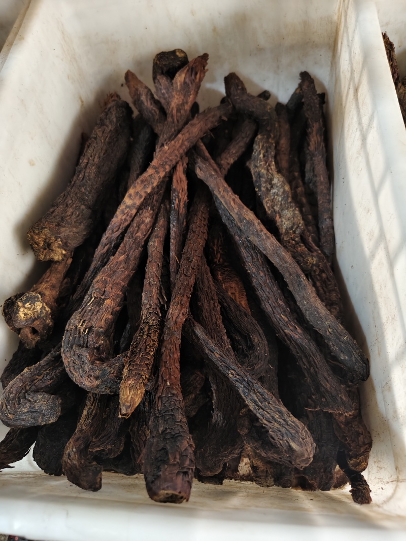 肉苁蓉软肉苁蓉整支批发零售规格齐全量大从优