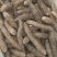 姜薯潮汕特产新鲜姜茨农产品产地直销1斤起包邮