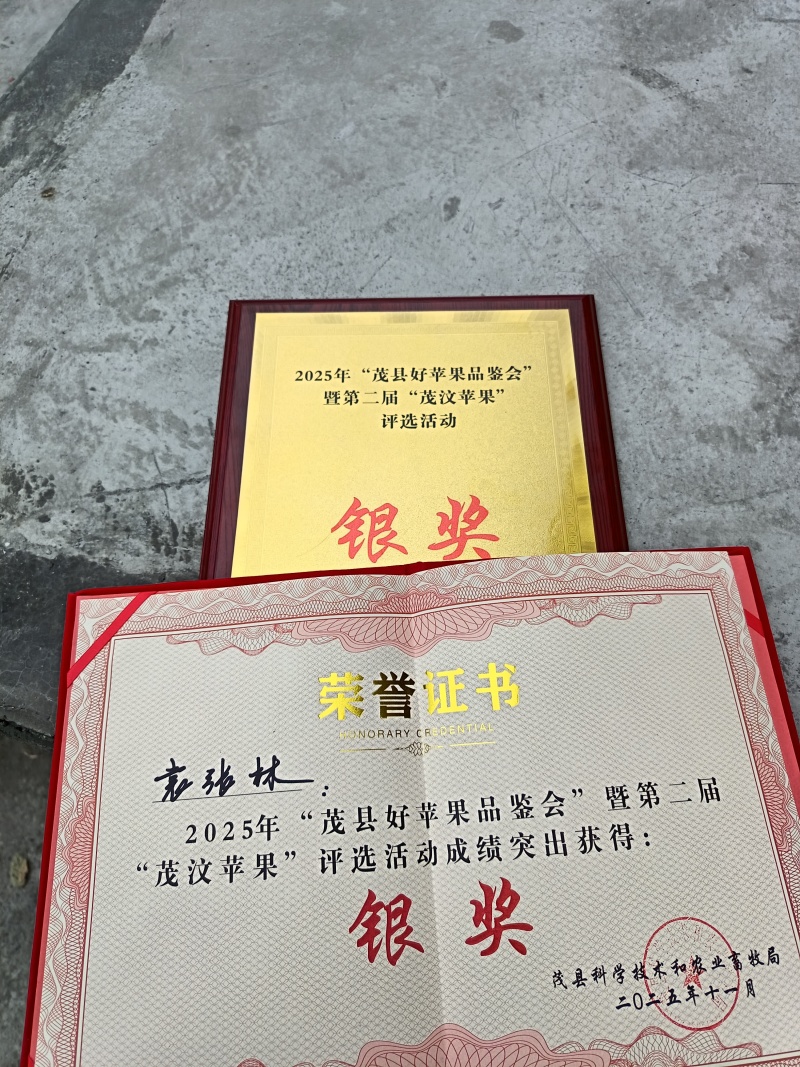 阿坝州茂汶彩色瑞雪苹果