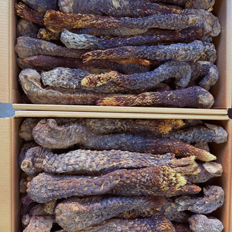 肉苁蓉中药材正品肉苁蓉自然晾晒无硫纯正中药材