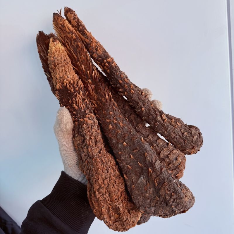 肉苁蓉中药材正品肉苁蓉自然晾晒无硫纯正中药材