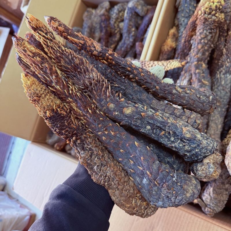 肉苁蓉中药材正品肉苁蓉自然晾晒无硫纯正中药材