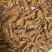 长期供应五指毛桃精品产地直发新鲜收获品质保证
