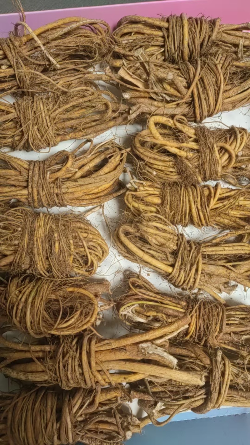 长期供应五指毛桃精品产地直发新鲜收获品质保证