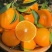 【纯甜无渣】四川资阳爱嫒38号对接电商团购甜度高水