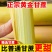 广西黄皮甘蔗/产区直发/大量现货/欢迎选购
