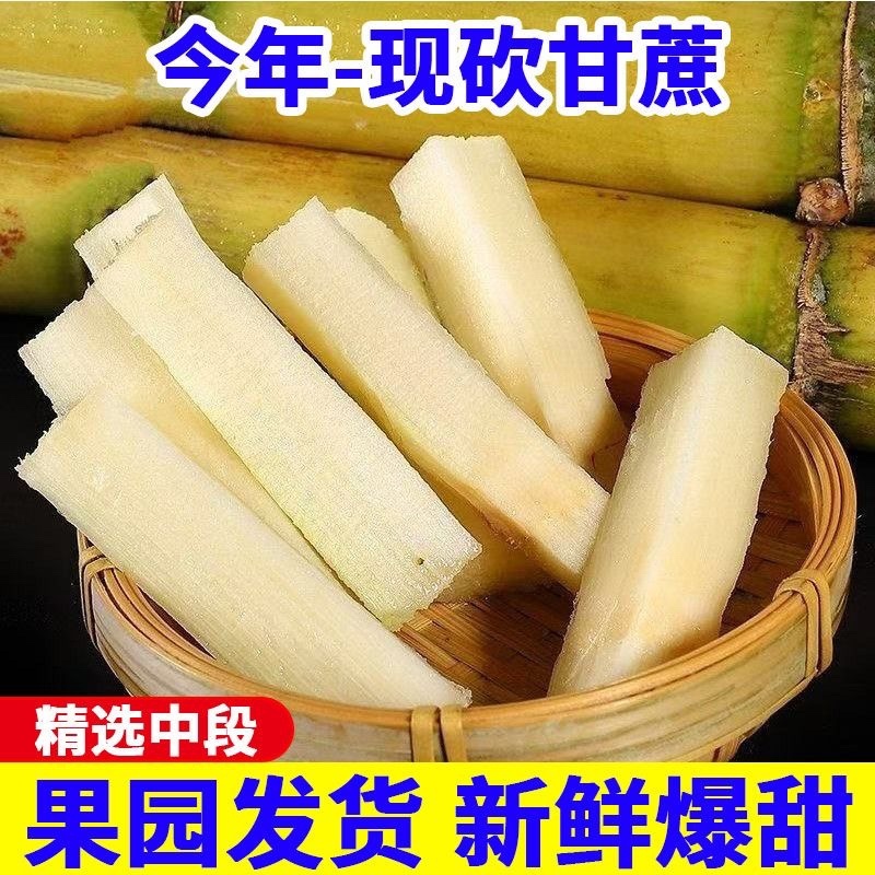 广西黄皮甘蔗/产区直发/大量现货/欢迎选购