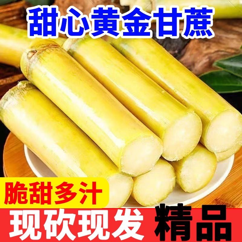 广西黄皮甘蔗/产区直发/大量现货/欢迎选购