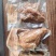 【卤鸽】卤鸽需要下单的可以搜索九品乳鸽下单