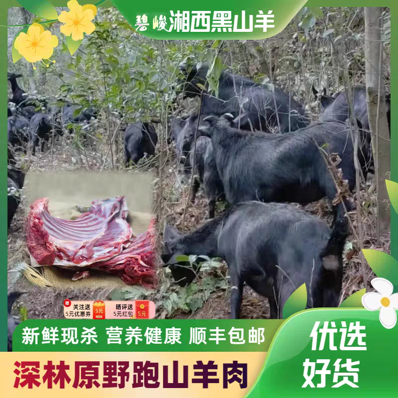 【精品】正宗海南散养黑山羊包技术可成活可送货可货到付款