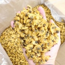 花蛤干蛤蜊干蛤蜊肉野生无沙福建海鲜特产文蛤花甲肉干货贝类