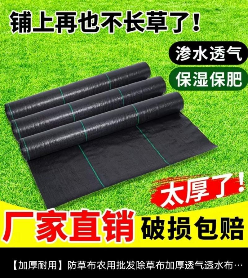 打孔防草布，透气，透水，保湿，保肥使用寿命长达3至5年。