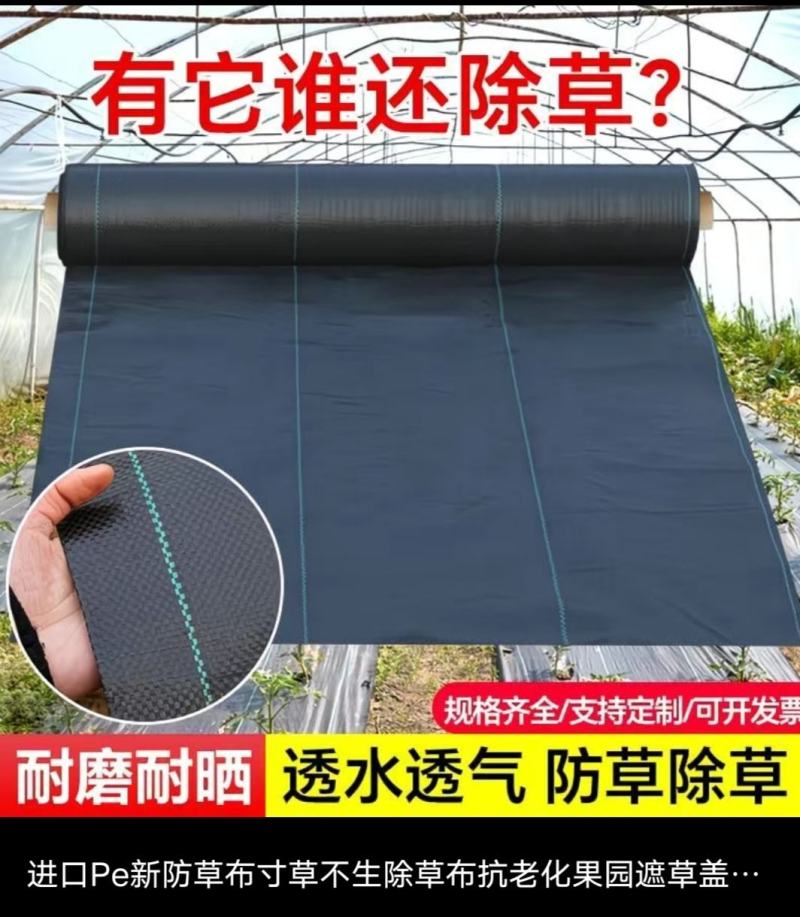 打孔防草布，透气，透水，保湿，保肥使用寿命长达3至5年。