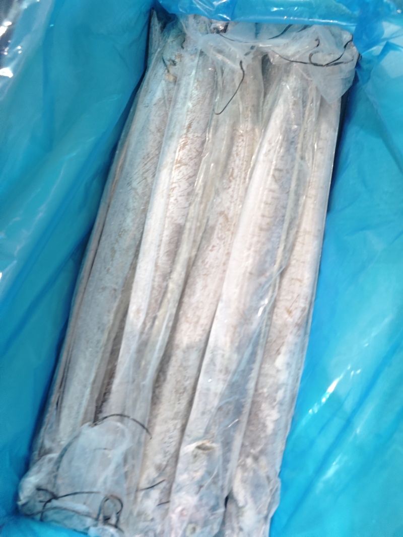 舟山无冰带鱼条冻干包AA精品厂家直销量大从优