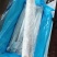 舟山无冰带鱼条冻干包AA精品厂家直销量大从优