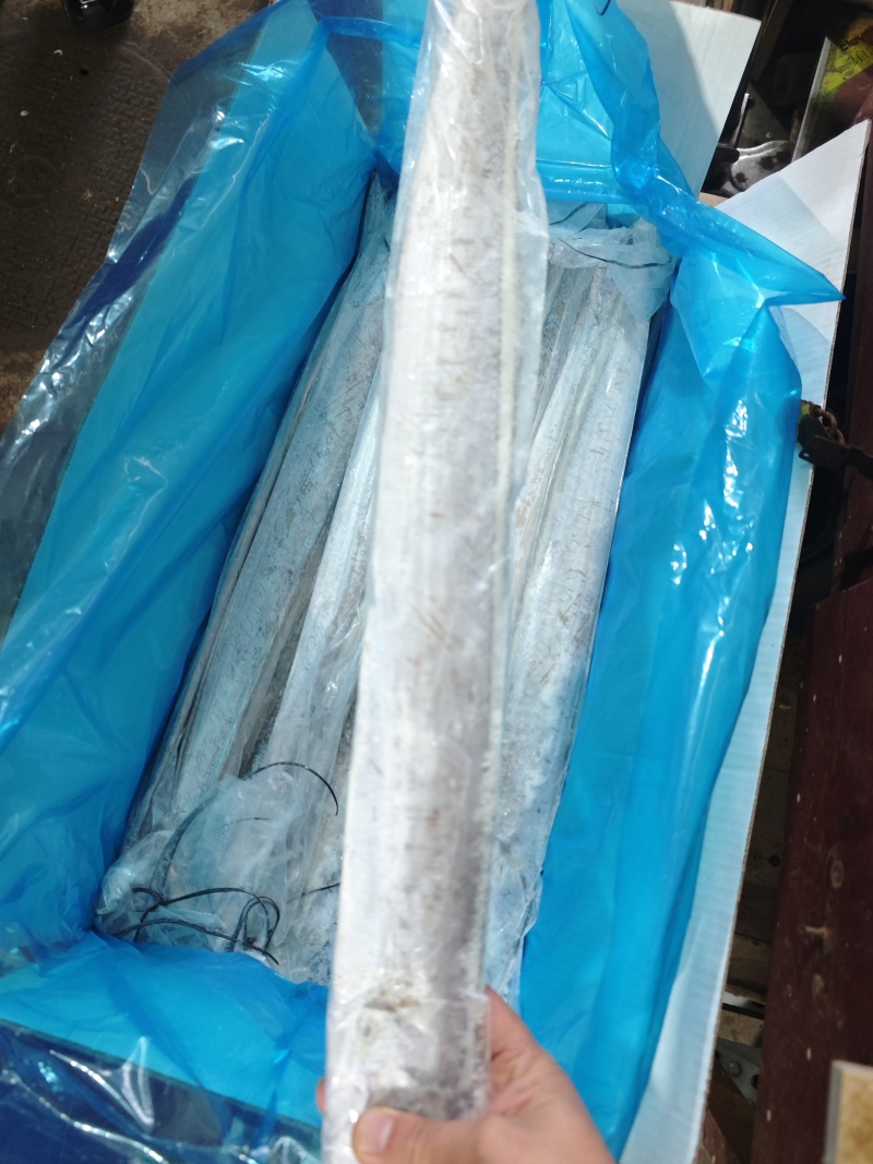 舟山无冰带鱼条冻干包AA精品厂家直销量大从优
