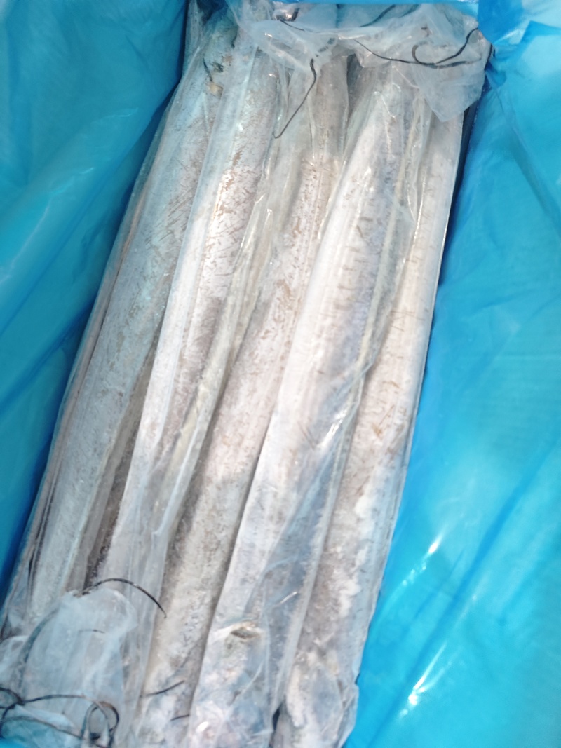 舟山无冰带鱼条冻干包AA精品厂家直销量大从优