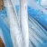 舟山无冰带鱼条冻干包AA精品厂家直销量大从优