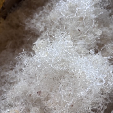 滋补品小龙须雪燕胶质丰富天然无硫泡发率高