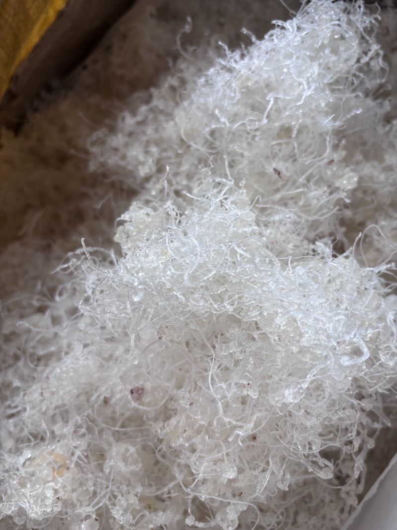 滋补品小龙须雪燕胶质丰富天然无硫泡发率高