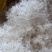 滋补品小龙须雪燕胶质丰富天然无硫泡发率高