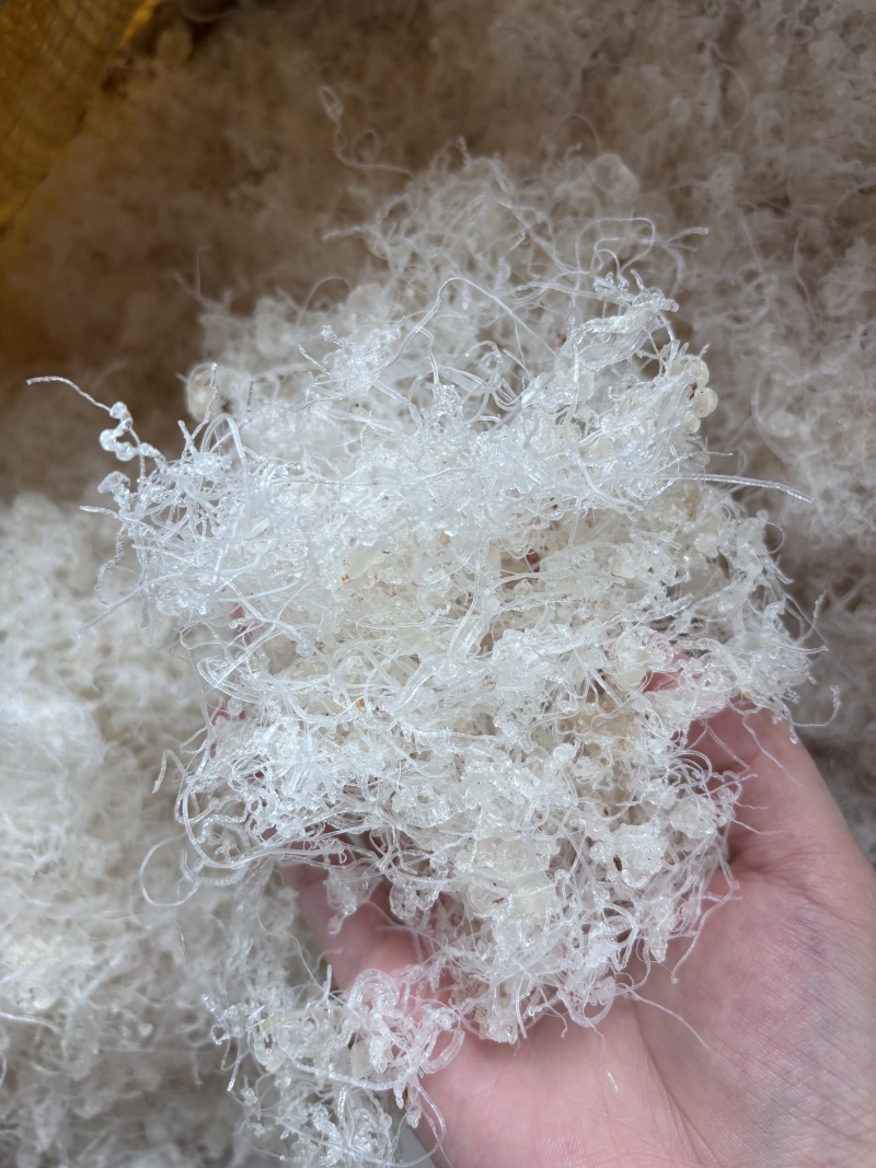 滋补品小龙须雪燕胶质丰富天然无硫泡发率高
