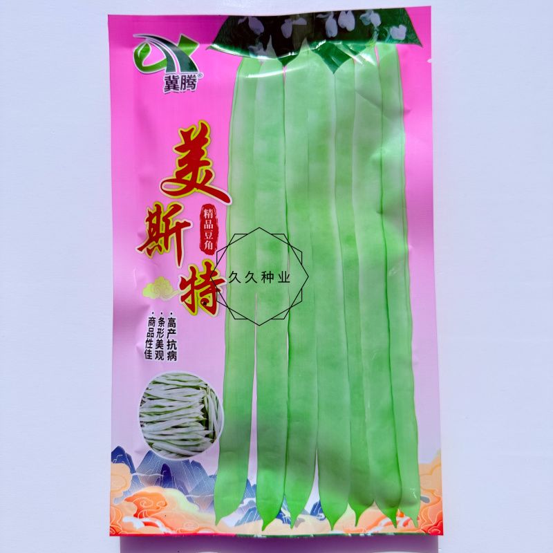 美斯特精品豆角种子抗病高产扁圆白绿色四季豆种籽农家春秋季