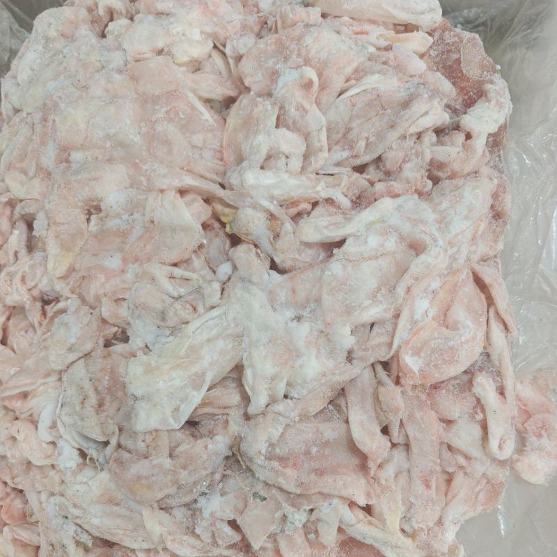 大白刁鱼泡联系电话***********