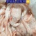 大白刁鱼泡联系电话***********