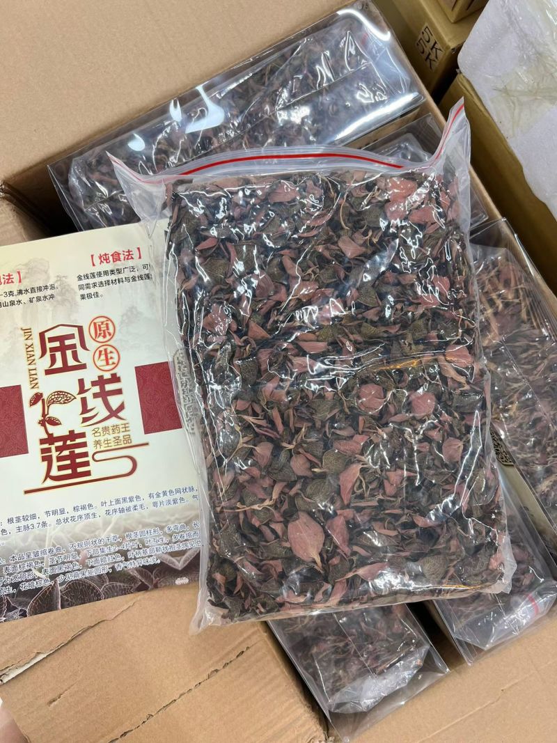 金线莲红霞福建大圆叶各规格大量批发源头直供