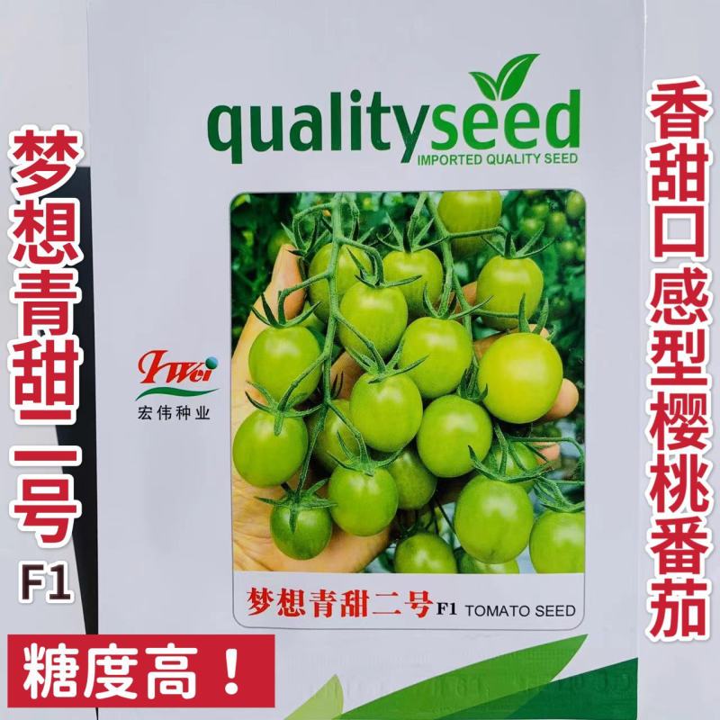 宏伟梦想青甜二号番茄种子超甜樱桃番茄种子青色水果番茄种子