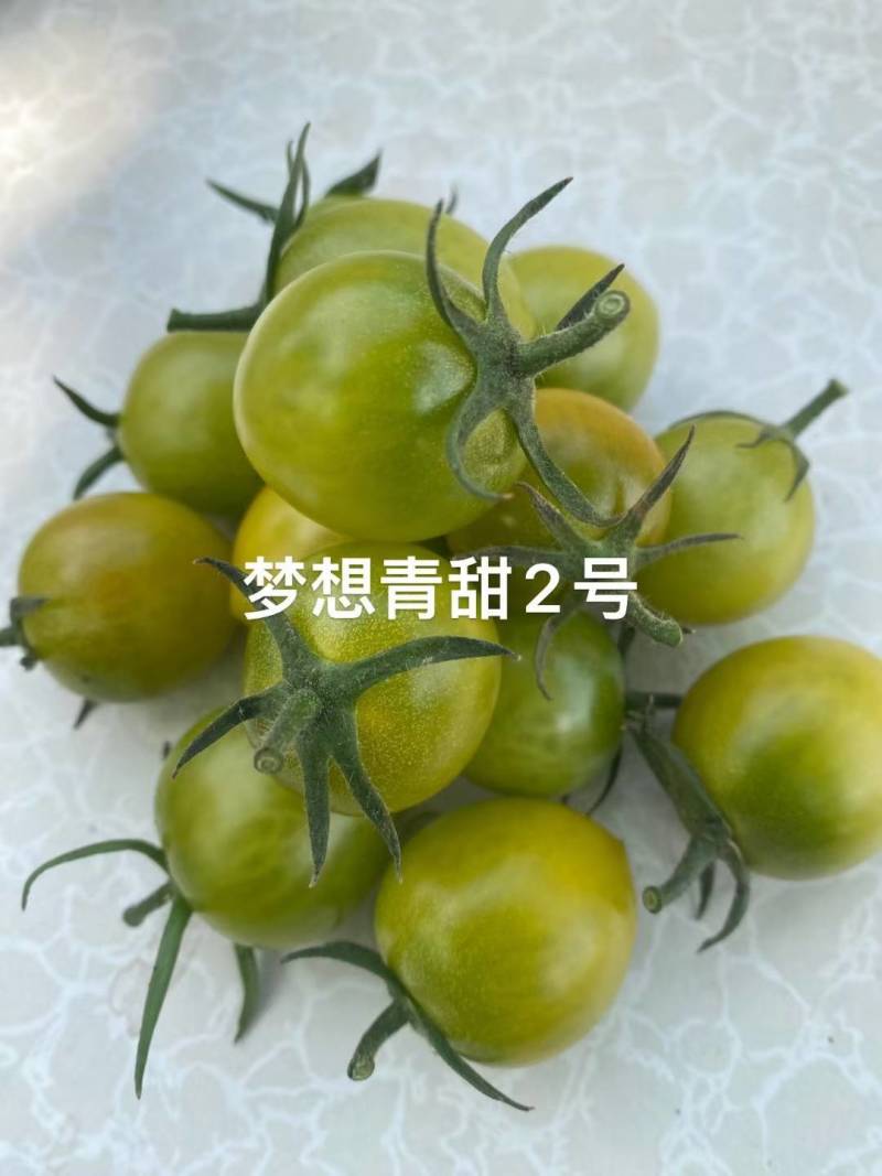 宏伟梦想青甜二号番茄种子超甜樱桃番茄种子青色水果番茄种子