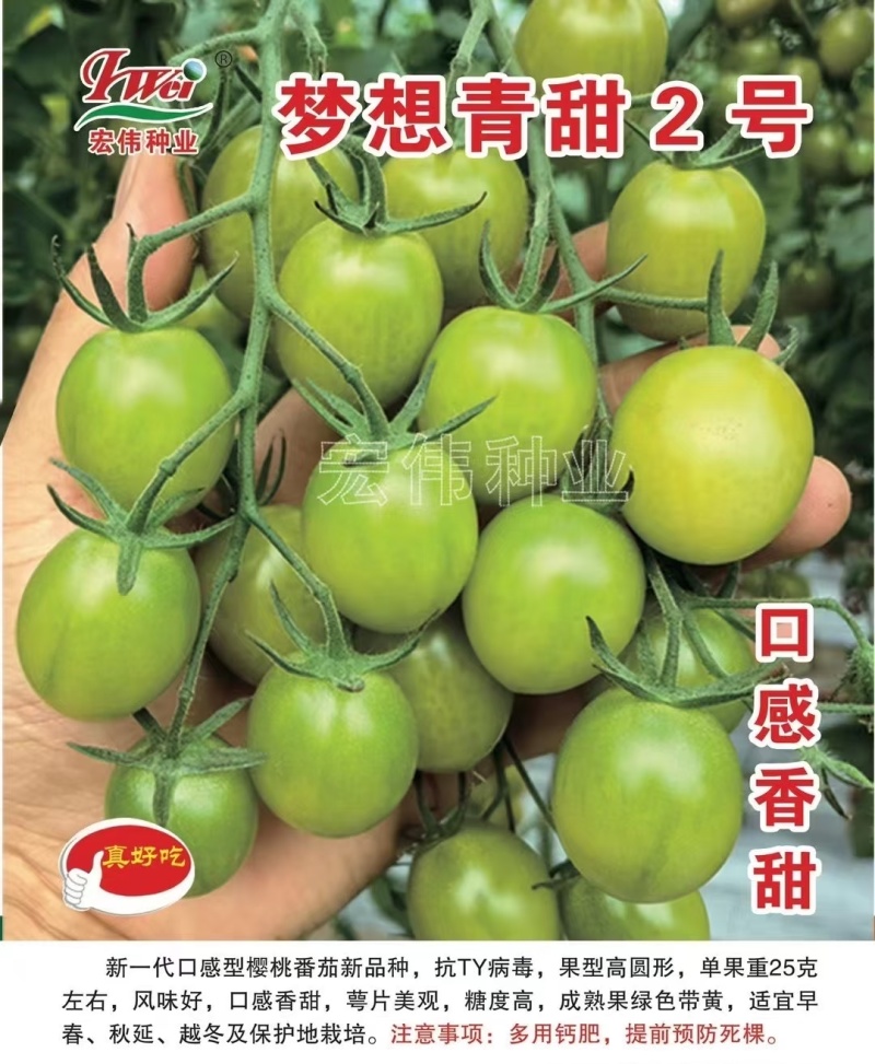 宏伟梦想青甜二号番茄种子超甜樱桃番茄种子青色水果番茄种子