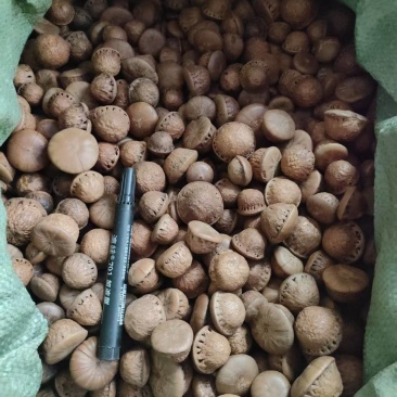 风流果统货