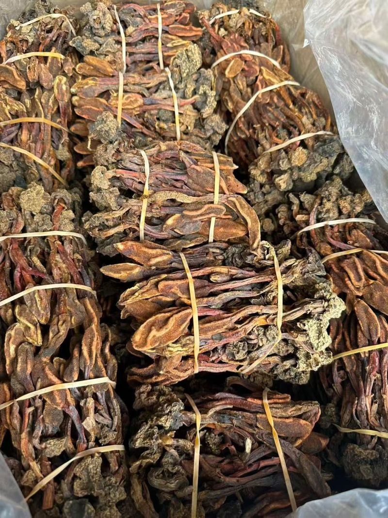 回春草扎把如图所示干货