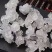 雪燕拉丝雪燕植物燕窝皂角米组合食用云南产地零售批发