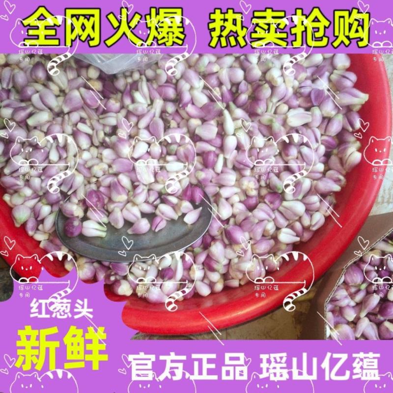 （瑶山亿蕴）广东红葱头剥皮葱米
