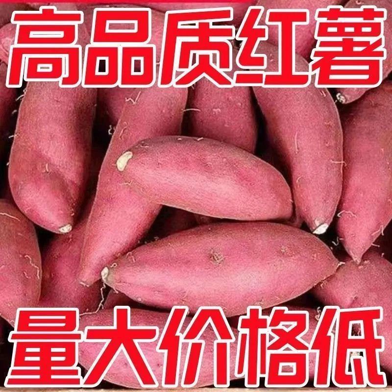 《畅销》西瓜红红薯基地直发保质保量对接全国一条龙服务