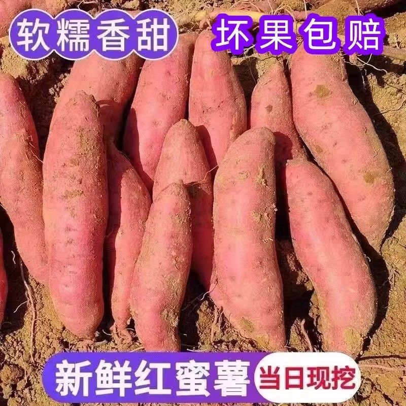 《畅销》西瓜红红薯基地直发保质保量对接全国一条龙服务