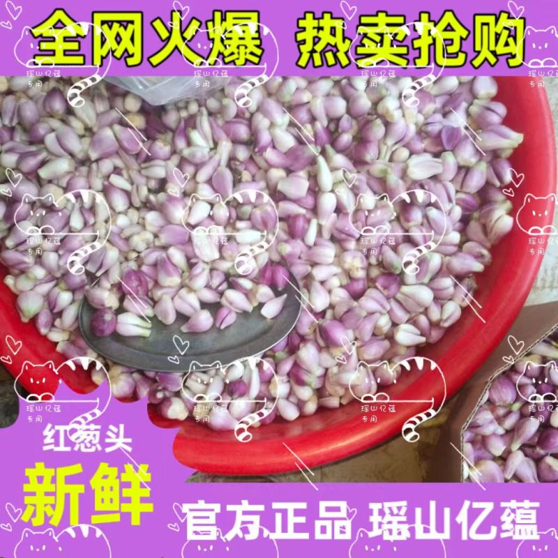 （瑶山亿蕴）广东红葱头剥皮葱米