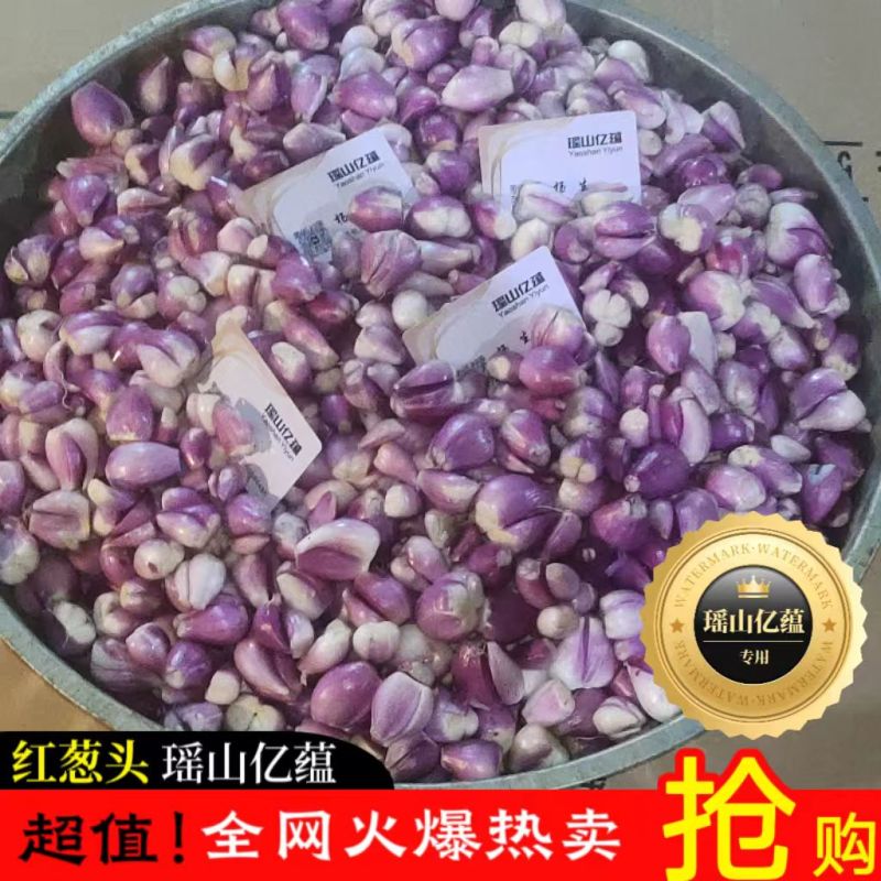 （瑶山亿蕴）广东红葱头剥皮葱米
