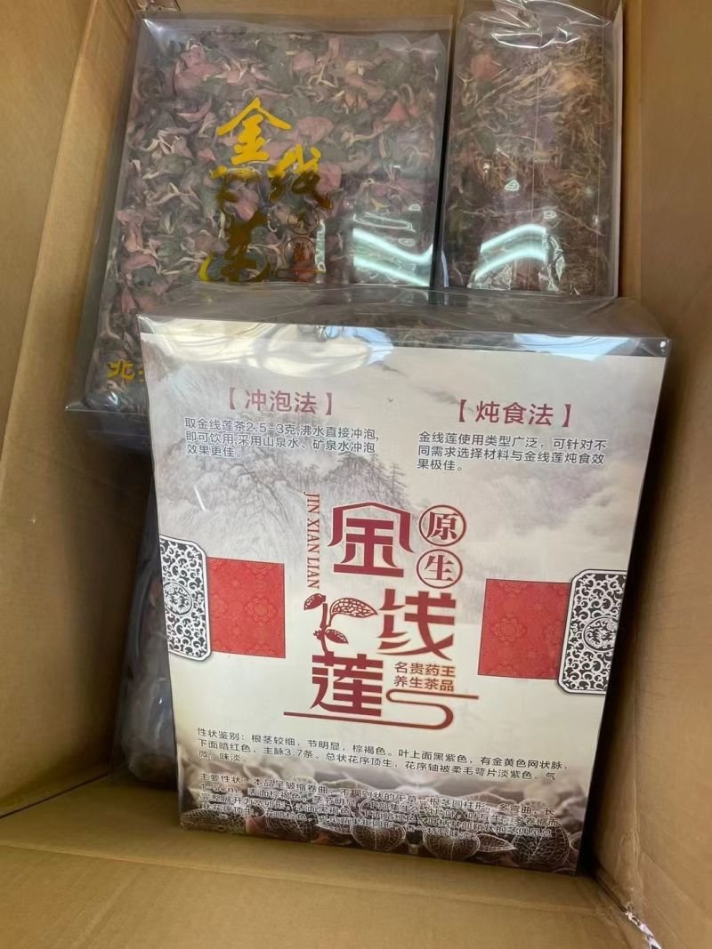 金线莲红霞福建大圆叶各规格大量批发源头直供