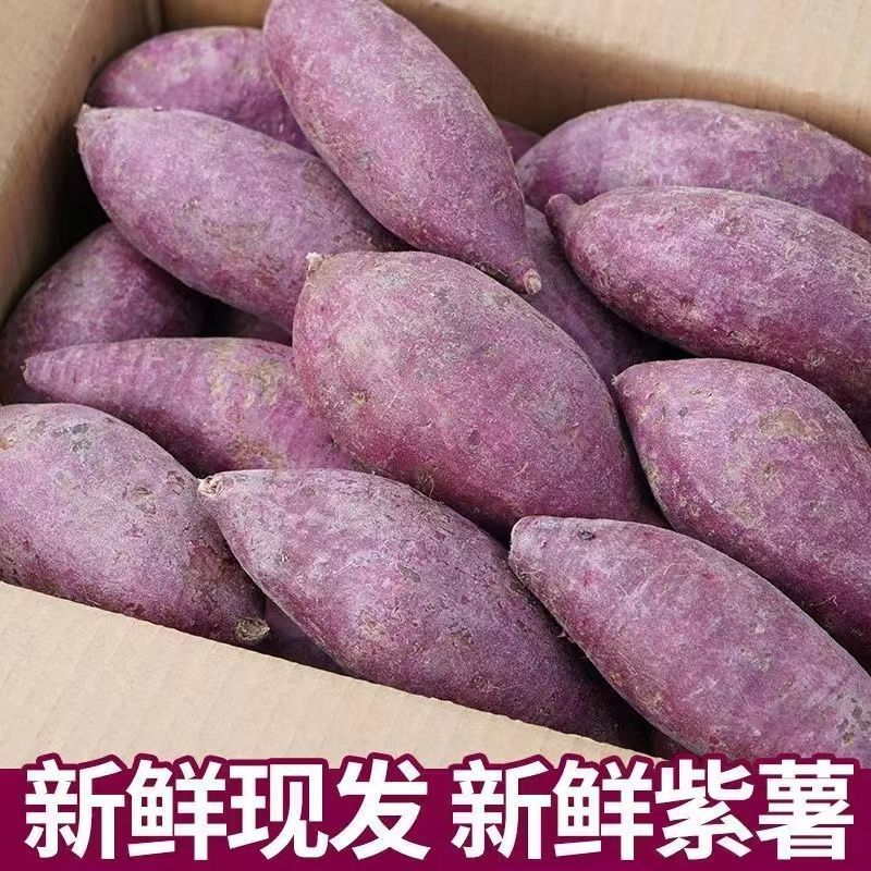 《畅销》湖北紫薯大量上市基地直发对接商超团购一条龙服务