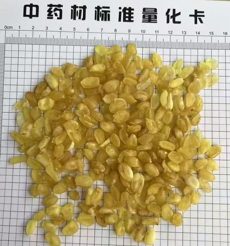 皂角米雪莲子单荚双荚桃胶雪燕炖品组合食用云南产地批发