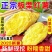 《畅销》板栗薯湖北基地直发保质保量对接商超团购供应链