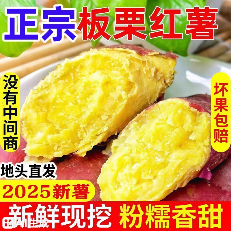 《精选》湖北板栗薯基地直发保质保量对接全国量大从优